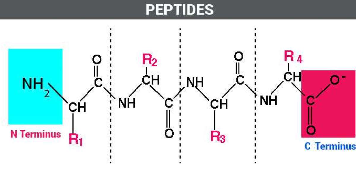 Peptides for Recovery, Weight Loss, and More: Exploring Ipamorelin, Summit Peptides, and Cagrilintide