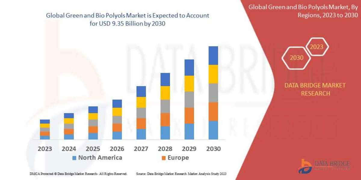 Middle East and Africa Green and Bio Polyols Market Witnesses Steady Growth Driven by Sustainability Initiatives