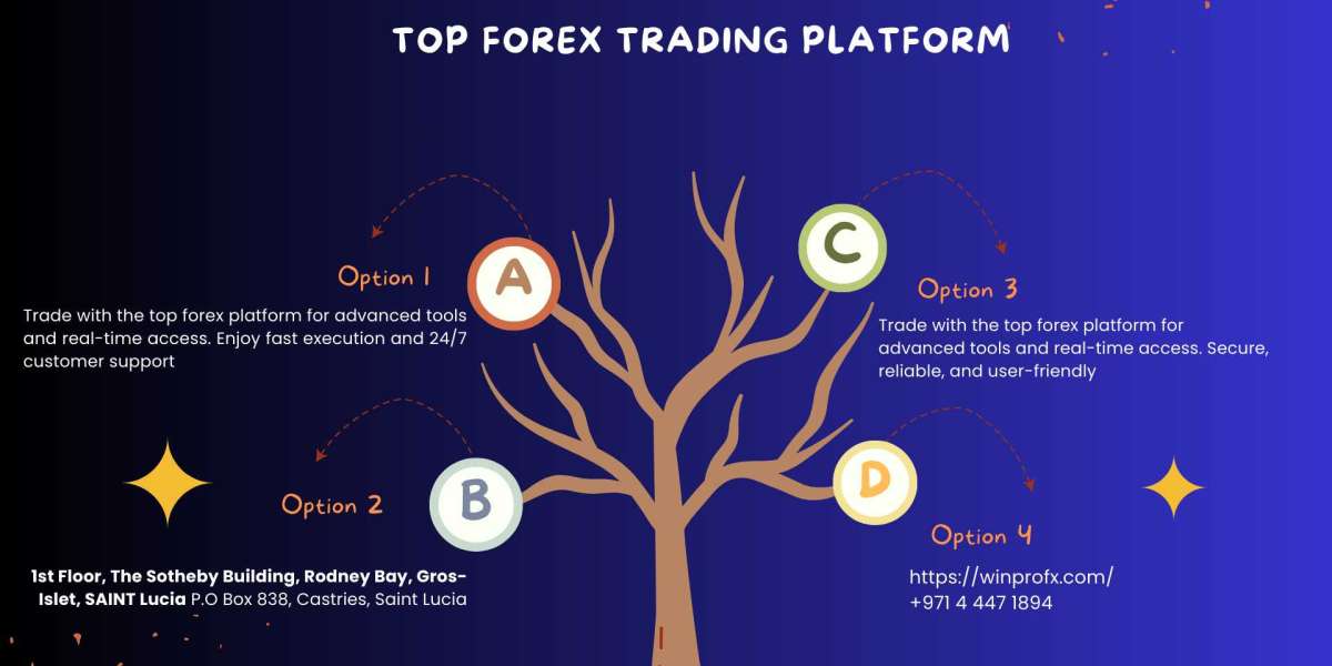 Top Forex Brokers In India