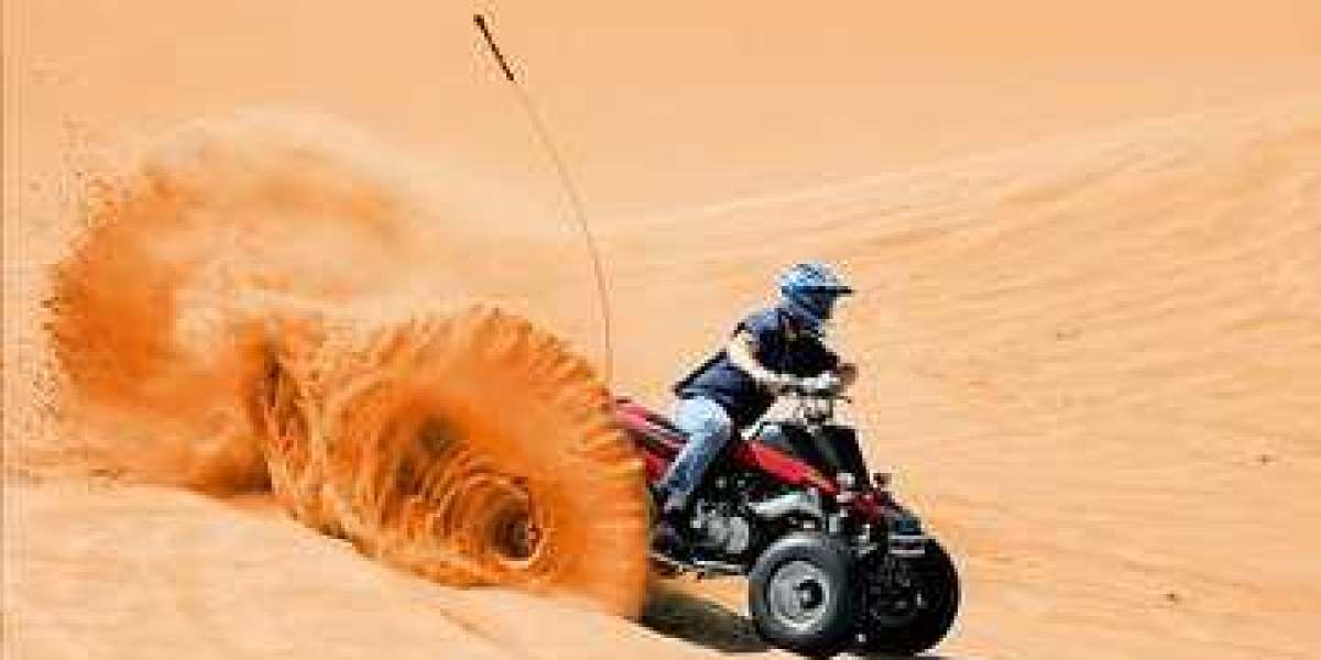 Book Abu Dhabi City Tour Package Online Now