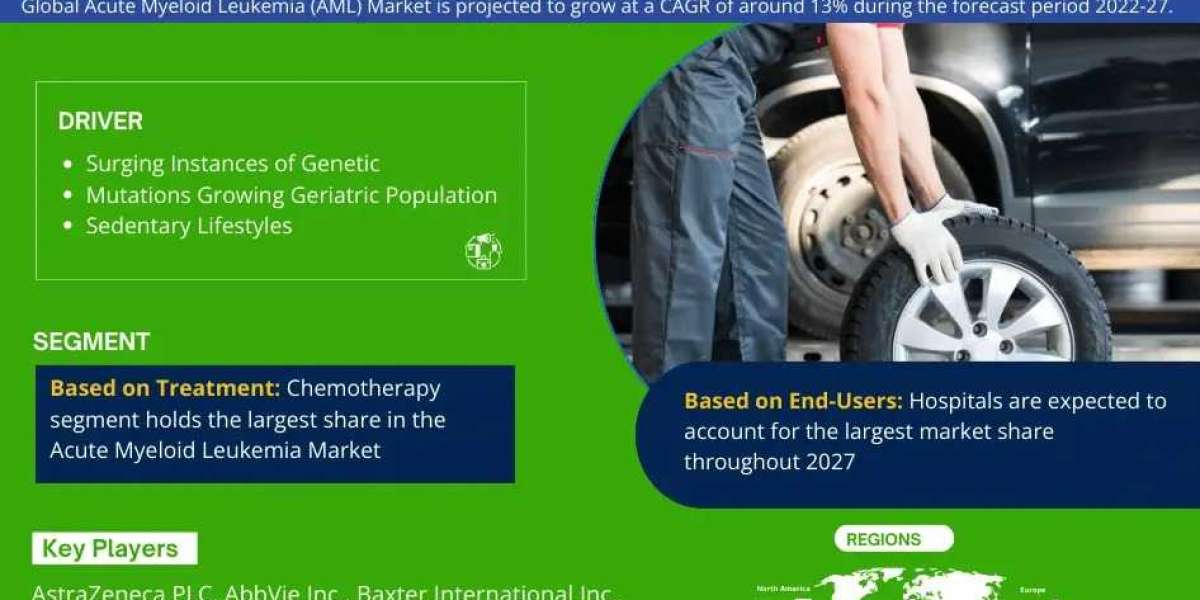 Acute Myeloid Leukemia Market In-Depth Outlook Size, Share & Major Stakeholders