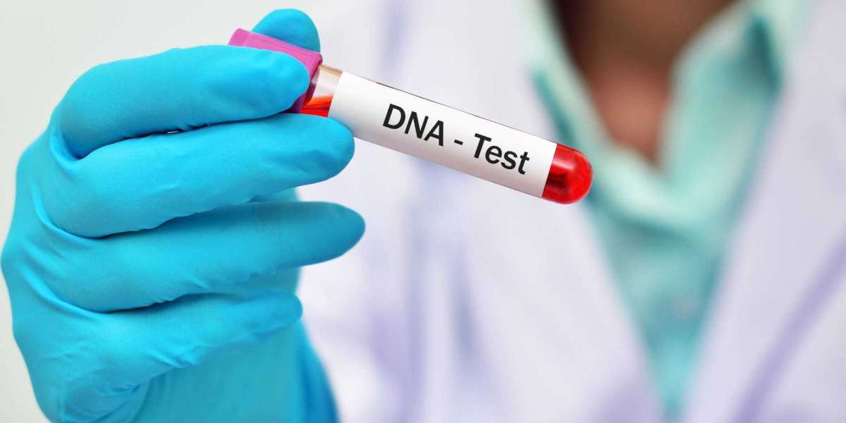 DNA Test Dubai – Reliable, Confidential Testing with Transparent Prices