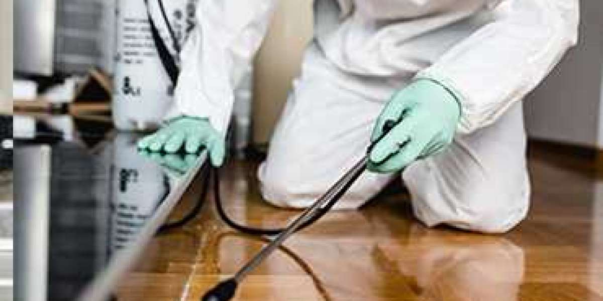 Are Pest Control Services in Scarborough Affordable?